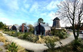 Prachtige duinvilla's op natuurpark